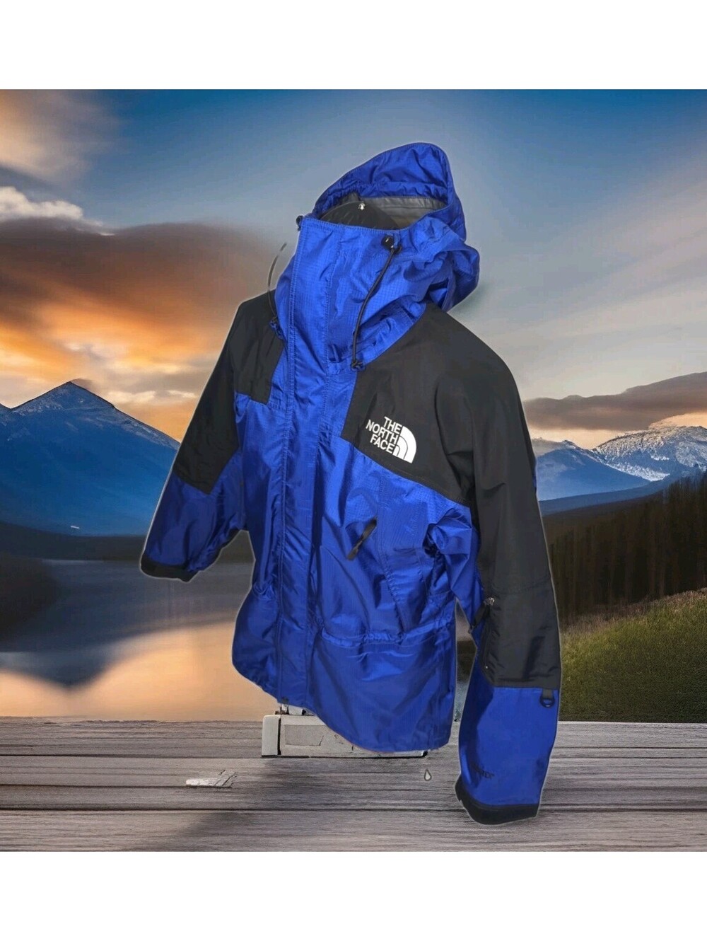 Vintage 90s The North Face Gore-Tex Ski Jacket Gorpcore Mens Small Hood Shell Bl